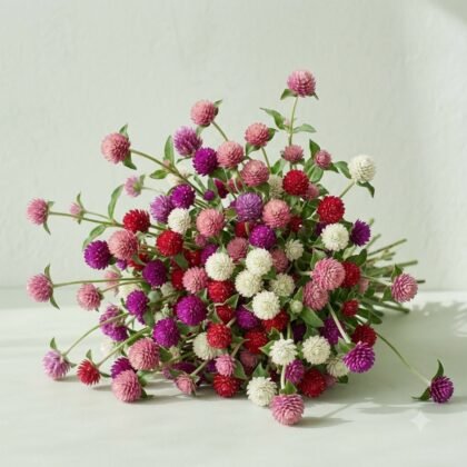 A colorful bouquet of globe amaranth flowers in shades of pink, purple, red, and white on a surface.