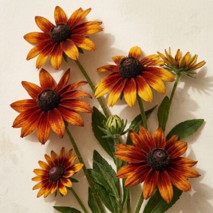 Flat lay arrangement of orange and yellow rudbeckia flowers and green leaves on a light background.