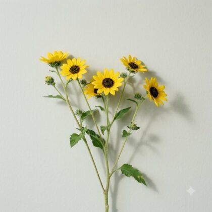 A single stem of small yellow sunflowers with dark centers against a plain light wall.