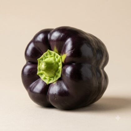 Bell Pepper Purple Black Seeds
