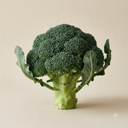 A fresh head of broccoli with thick stalk and leaves on a neutral background.