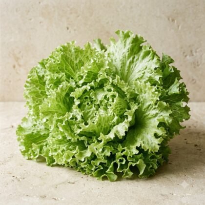 Lettuce Grand Rapids Seeds