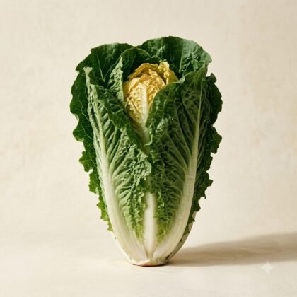 Imported Lettuce Romaine Seeds
