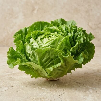 Hybrid Lettuce Seeds
