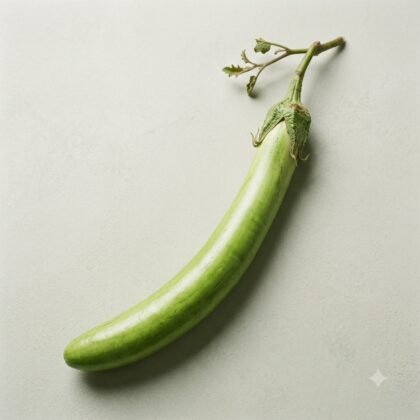 A single long, light green Asian eggplant with stem and small leaves on a neutral background.