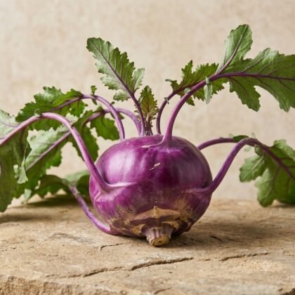 Purple kohlrabi with green leaves on a rustic stone surface.