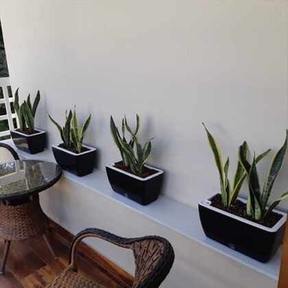 Recta self watering rectangular planter