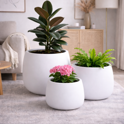 Olive Fiberglass Planters – White